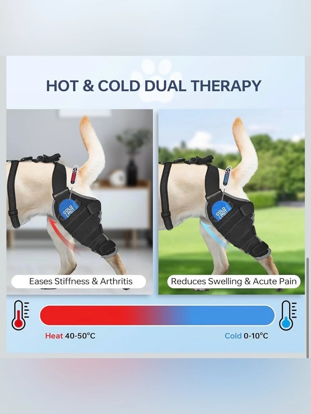 Dog Knee Brace For Back Leg -Canine Leg Wrap With Hot & Cold Gel Packs 1061/bb6